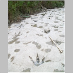 100_0902 (2009-27-07)m.JPG